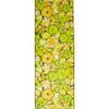 Roberto Cavalli Printed Silk Scarf in Multicolor (multicolored) - Lyst