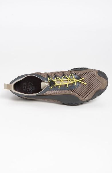fossil puma