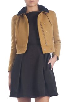 Carven Contrast Collar Moto Jacket - Lyst