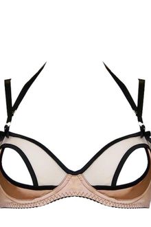 Bordelle Mesh and Silk Bra - Lyst