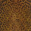 Roberto Cavalli Leopard Print Jersey Dress in Brown (black) - Lyst