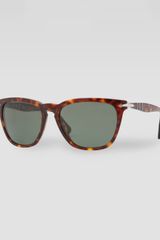 Persol Capri Sunglasses Havana