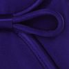 Coast Bronwyn Bag in Purple - Lyst