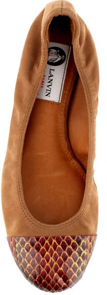 Lanvin Cognac Ballet Flat with Snake Print Captoe - Lyst