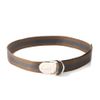 Gucci Stripe Canvas Belt in Brown for Men (camel) - Lyst