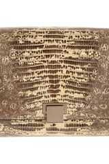 The Row Metal Frame Tejus Clutch