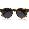 Illesteva Leonard Roundframe Acetate Sunglasses in Brown (black) - Lyst
