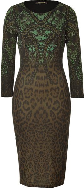 Roberto Cavalli Olive Snake Ciaguar Dress - Lyst