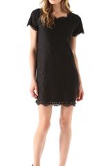 Joie Susina Lace Dress