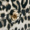 Karen Millen Km By Leopard Purse in Animal (leopard) - Lyst
