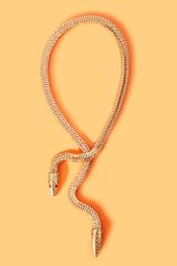 Nasty Gal Cobra Necklace