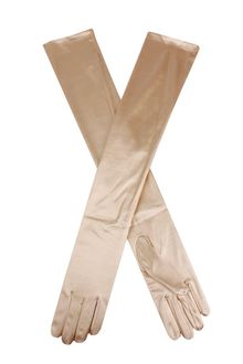 Dents Ladies 16bl Plain Stain Evening Gloves - Lyst