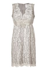 Anna Sui Silvergrey Embroidered Botanic Lace Dress