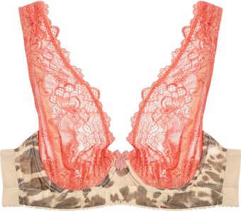 Mimi Holliday By Damaris Coco Loco Stretchlace Underwired Bra - Lyst