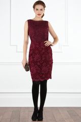 Coast Tomka Lace Top