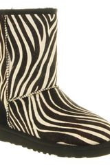 Ugg Classic Short Boot Zebra Suede