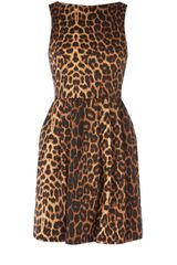 Oasis Animal Scuba Dress