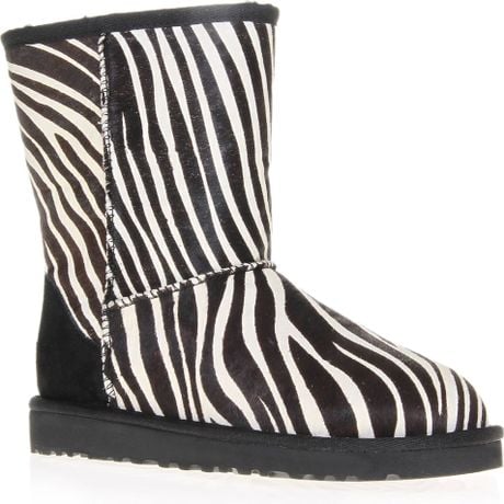 zebra uggs zebra uggs