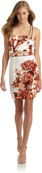 Sachin & Babi Liza Print Dress - Lyst