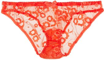 Agent Provocateur Brittnie Embroidered Tulle Briefs - Lyst