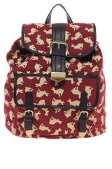 Asos Rabbit Print Backpack