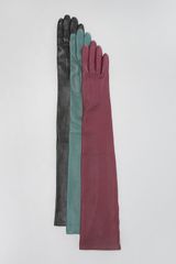Lanvin Lambskin Operalength Gloves