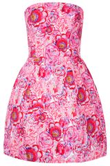 Topshop Rose Print Lantern Dress