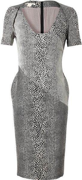 Antonio Berardi Leopard Patterned Cotton Blend Dress - Lyst