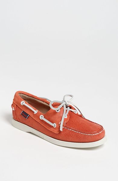 spinnaker sebago