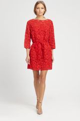  Lace Overlay Dress