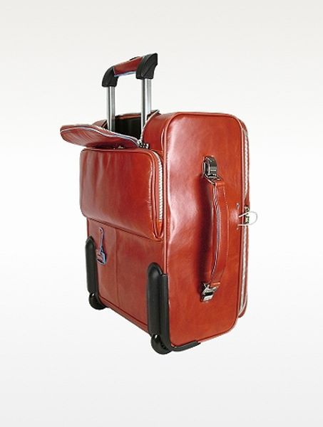 leather carryon