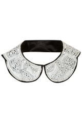Biba  Logo Collar