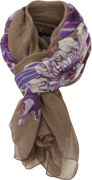 Max Mara Studio Pogoda Lightweight Printed Scarf - Lyst