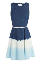 Oasis Ombre Skater Dress
