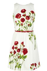 Oasis Rose Stem Print Dress