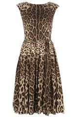 Dolce & Gabbana Leopard Print Dress
