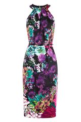 Coast Gardenia Printed Dress