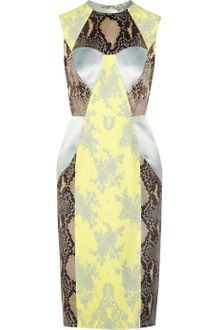 Erdem Brynn Python-Print Satin and Lace Dress - Lyst