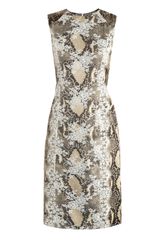 Erdem Tali Snakeprint Lacepanel Dress