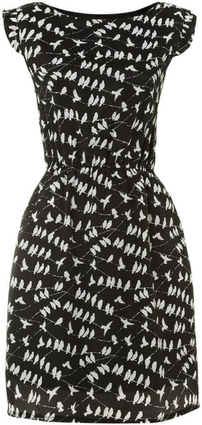 Pussycat Bird Print Frill Dress - Lyst