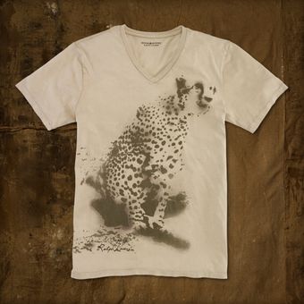 Ralph Lauren Animalprint V-neck Tee - Lyst