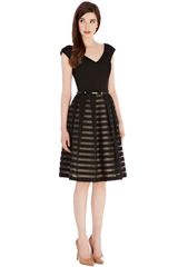 Coast Roxy Dress