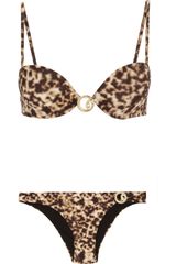 Roberto Cavalli Animalprint Pushup Bikini