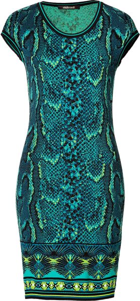 Roberto Cavalli Snake Print Knit Dress in Turquoisemulti - Lyst
