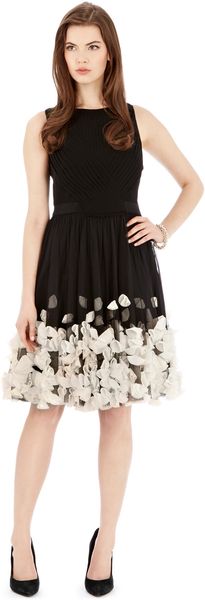 Coast Amalia Dress - Lyst