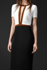 Burberry Prorsum Colour Block Cutout Dress
