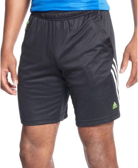 Adidas Predator Training Shorts in Black for Men (Black