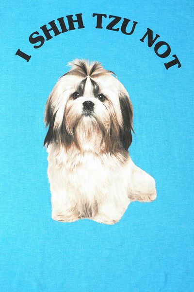 i shih tzu not shirt outfitters outfitters i shih tzu not in blue for turquoise lyst i shih tzu not shirt outfitters outfitters i shih tzu not in blue for turquoise lyst