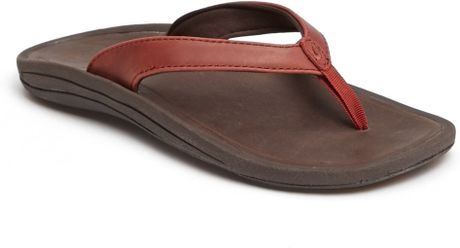 Olukai Kalupa Kai Leather Flip Flop in Brown (Picante French Roast ...