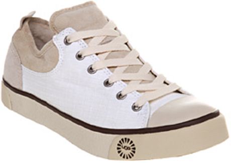 ugg evera stud trainers ugg evera stud trainers